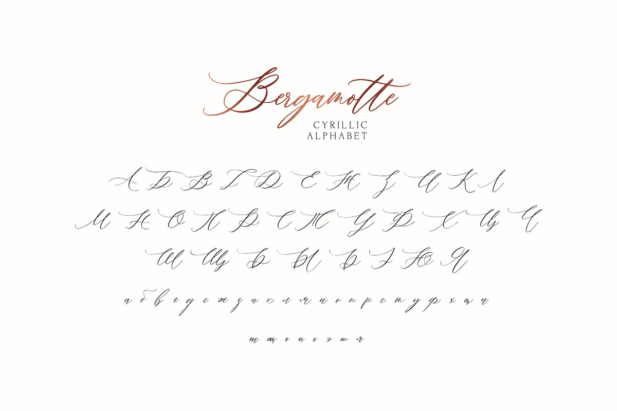 Bergamotte Fine Art Calligraphy, a Handwritten Font by supfonts (Photo 9 of 9)