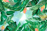 Watercolor tropical background, a Texture Graphic by Inna Vinchenko Designs (Thumbnail 3 of 3)