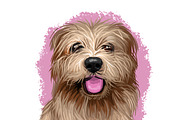 Puppies Dog Breeds Big Bundle 135Pcs, an Animal Illustration by Dneprstock (Thumbnail 49 of 68)