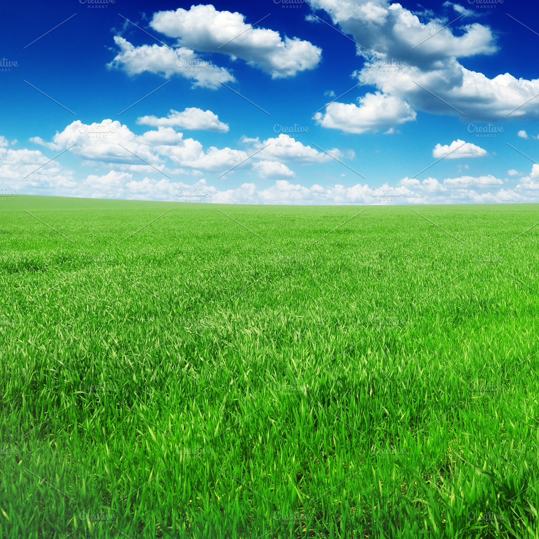 field, a Nature Photo by Serg64