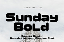Sunday Bold