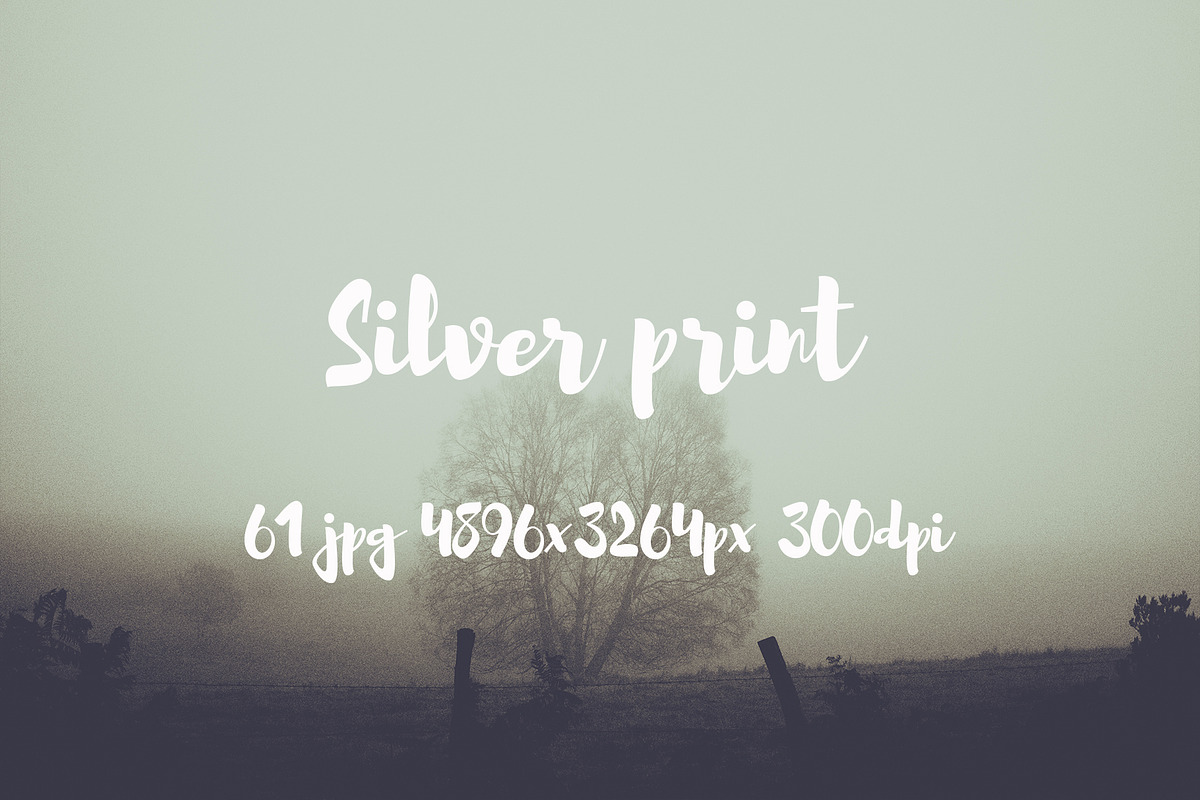 Silver print pack, a Templates & Theme by ApertureVintage (Photo 1 of 29)