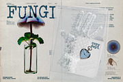 Copy Dept. — Editorial Archive Font, a Slab Serif Font by nadispasibenko (Thumbnail 4 of 7)