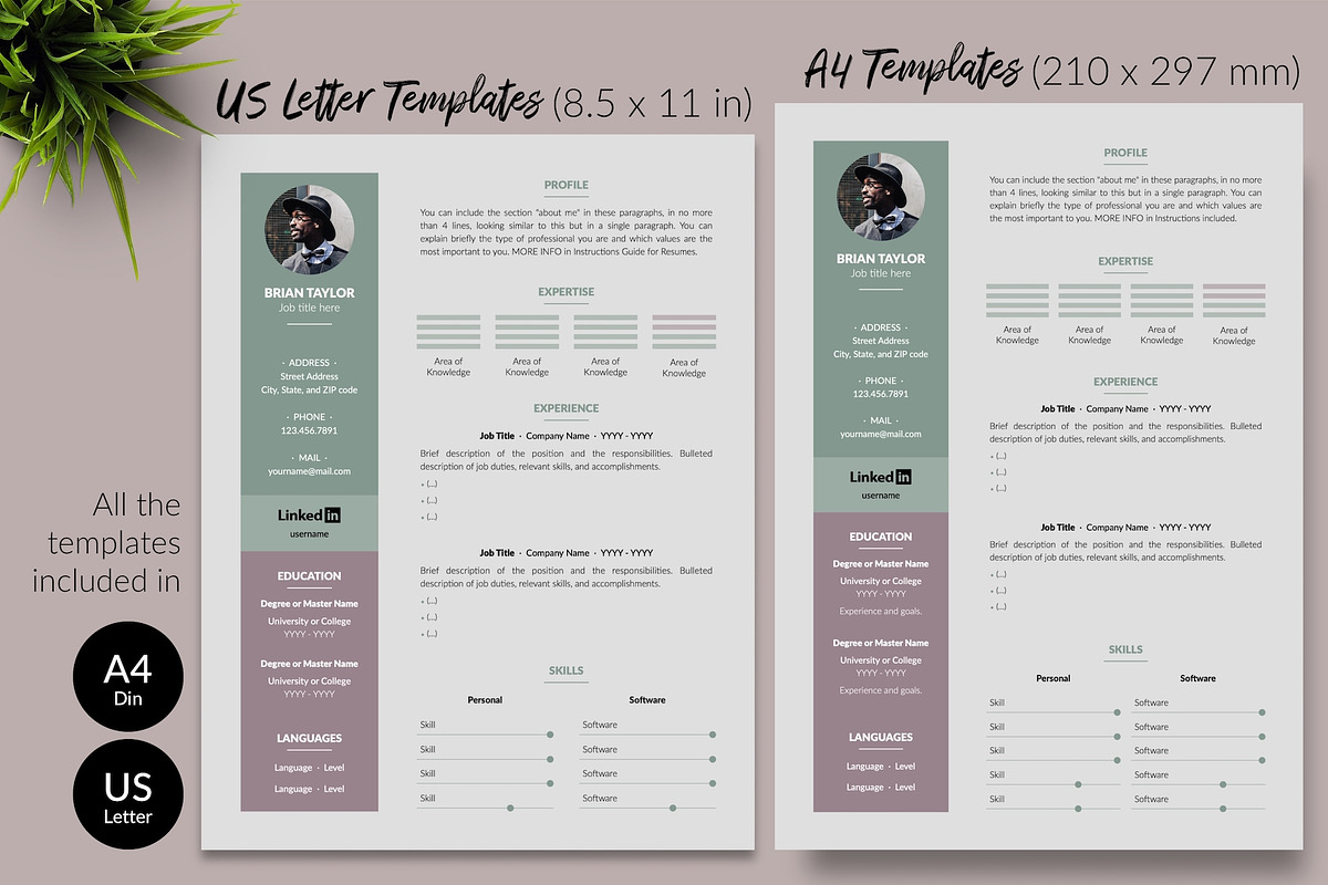 Modern Resume Design / CV - Brian, a Resume Template by Templates Design Co. (Photo 8 of 17)