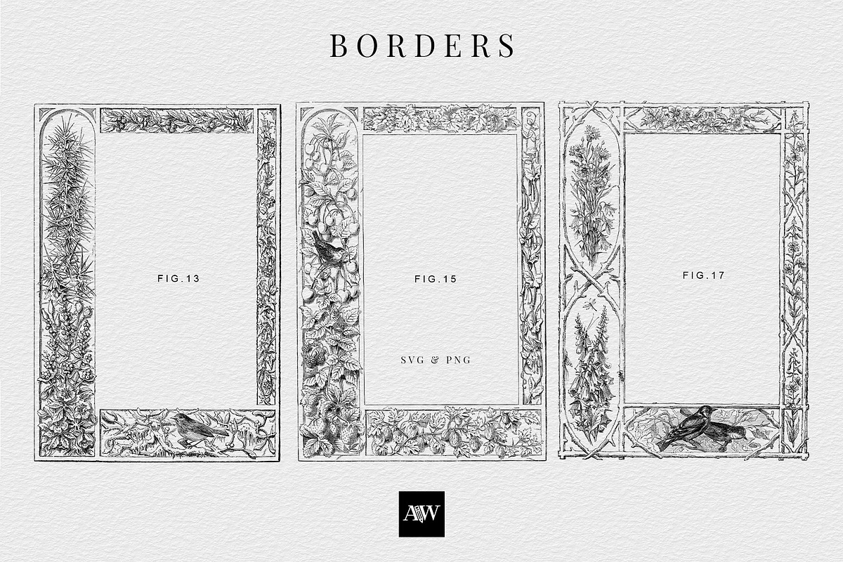 Procreate Vintage Nature Borders, a Brush Add-On by AW Studios