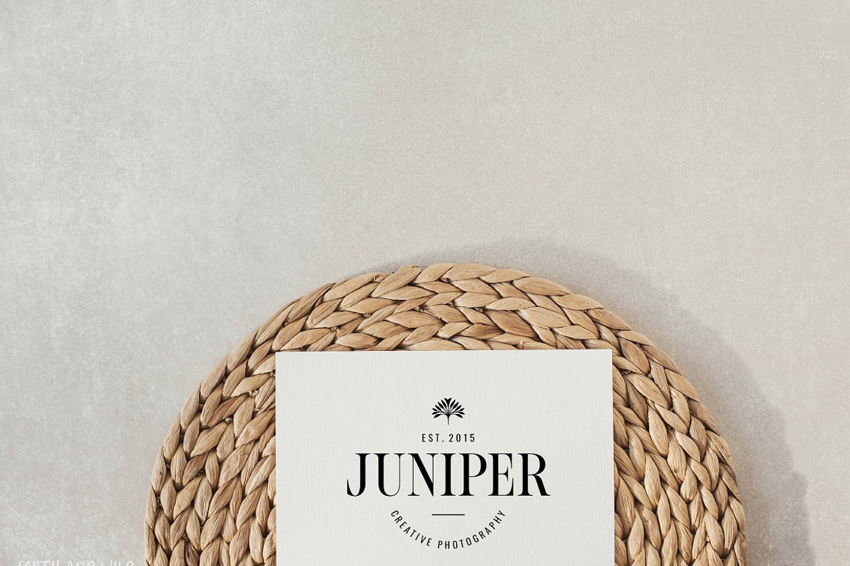 Mega Logo Bundle For Illustrator AI, a Branding & Logo Template by Forth and Wild (Photo 15 of 16)