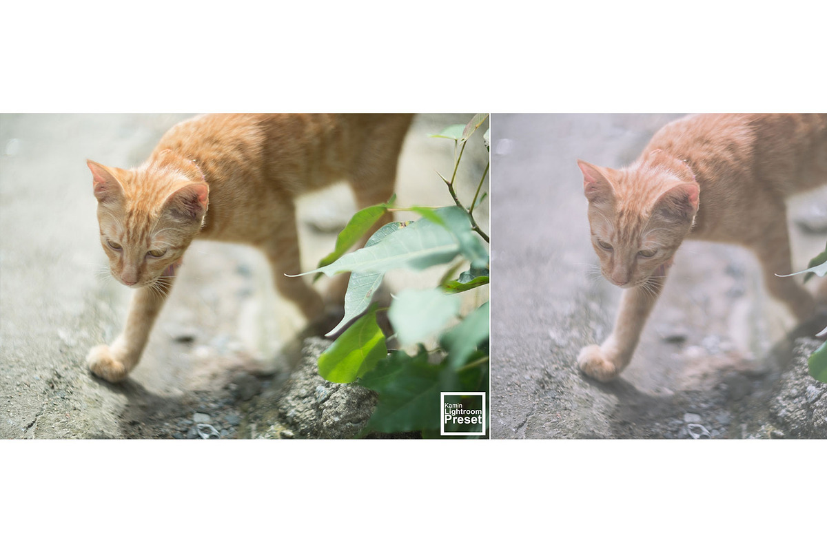 Kamin Japan Mood 1, an Action Add-On by Kamin Lightroom Preset (Photo 10 of 22)