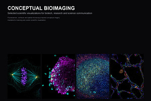 Biomedical Microscopy, a Healthcare Illustration by liravega