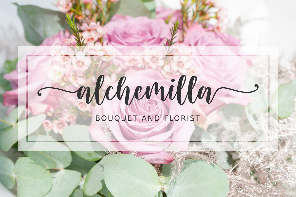 Blushring - Modern Calligraphy, a Script Font by Sibelumpagi Studio (Photo 8 of 11)