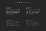 Merchant Ledger - Typewriter Family, a Serif Font by Twinbrush (Thumbnail 17 of 20)