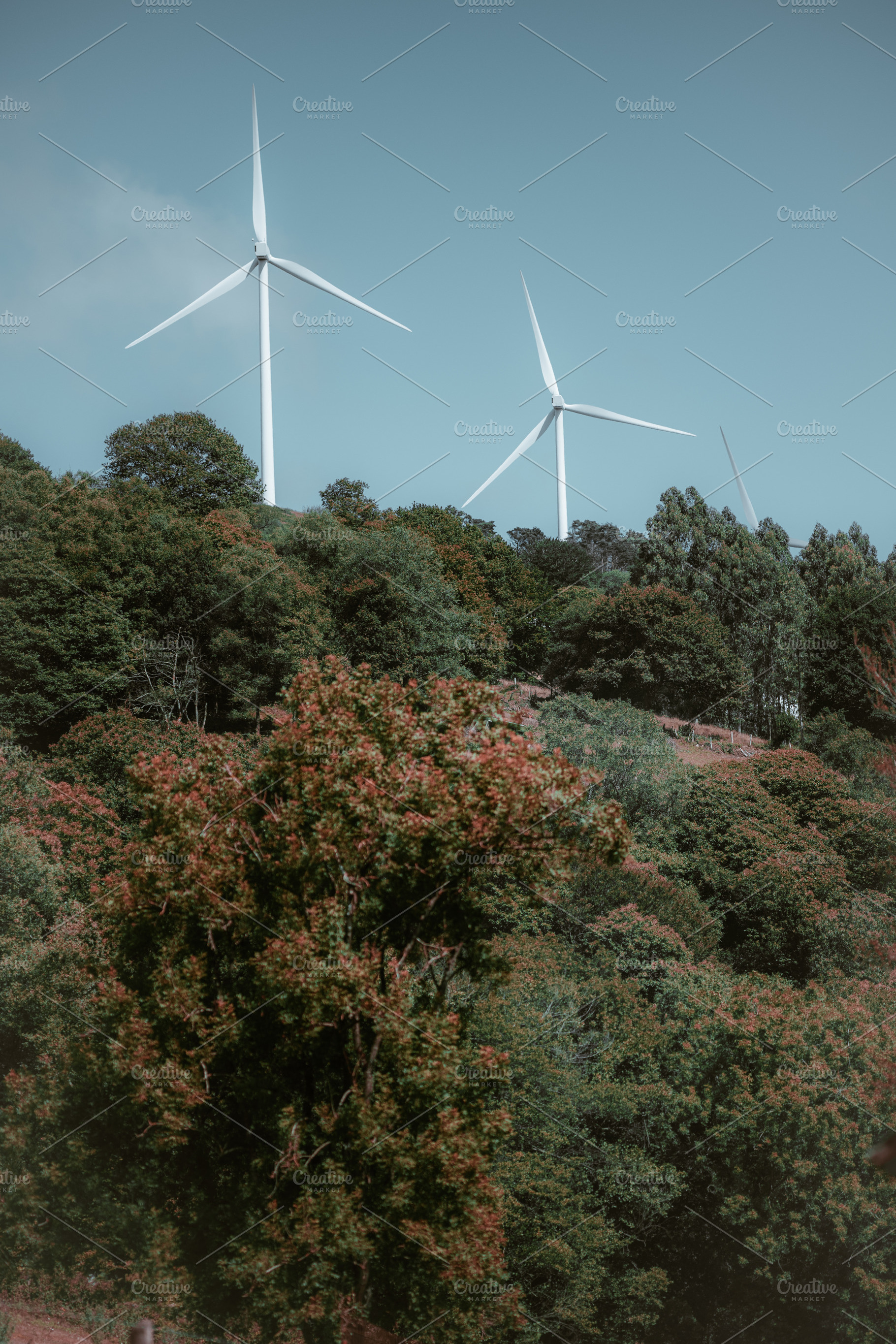 Wind Turbines Over Forest Hills, an Industrial Photo by SkyNext