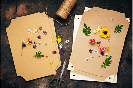 Flowers and plants on paper press, a Nature Photo by Yummypic
