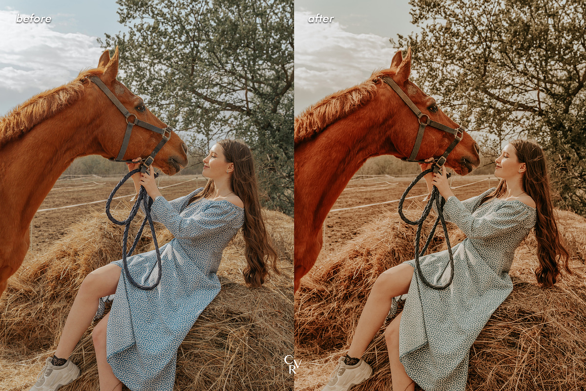 10 Rustic Lightroom Presets, a Preset Add-On by CVR Presets (Photo 4 of 7)