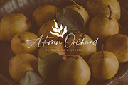 Juniper Bloom | Script & SVG Serif, a Handwritten Font by Callie Rian & Co. (Thumbnail 14 of 26)
