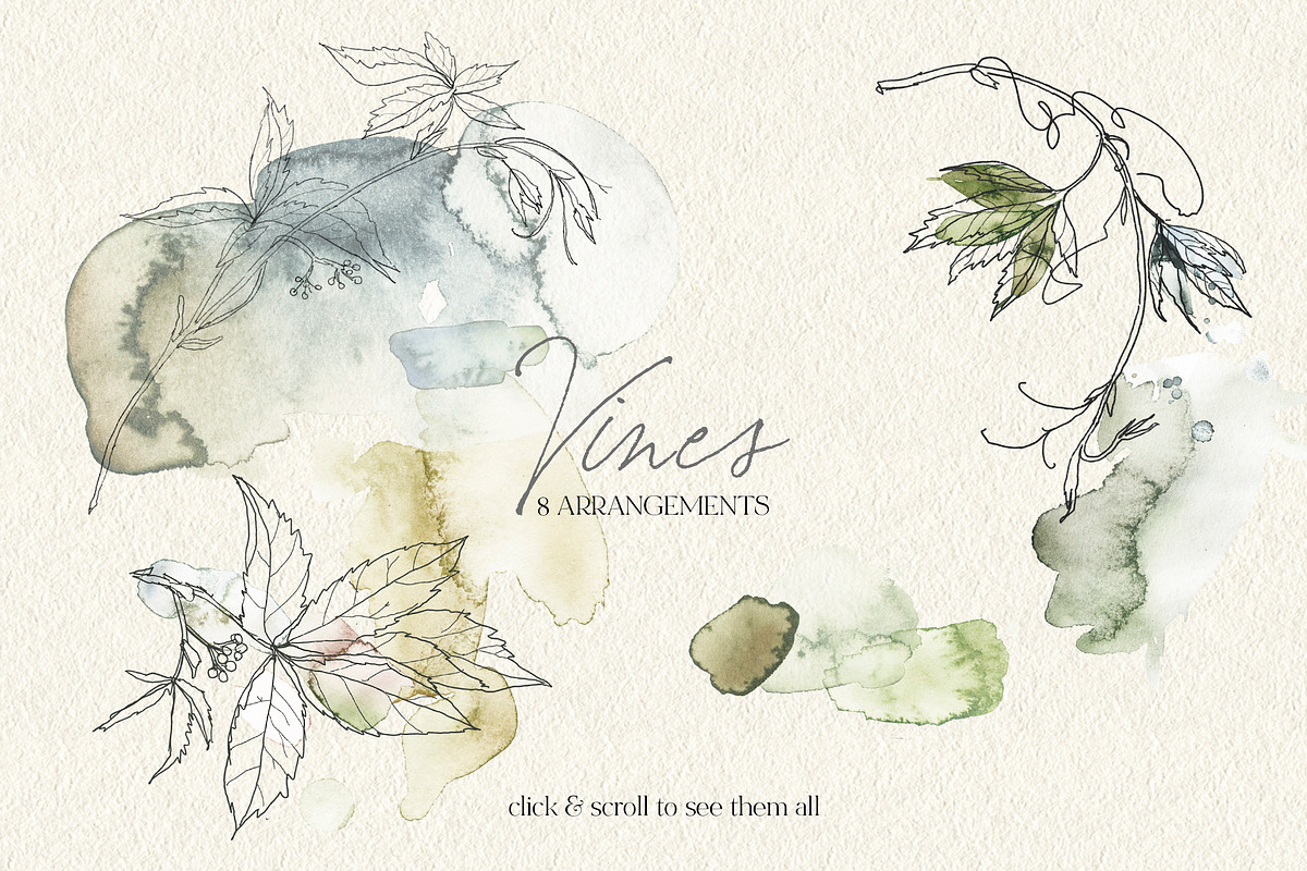 Vines Abstract Watercolor Clipart, a Decorative Illustration by whiteheartdesign (Photo 4 of 9)