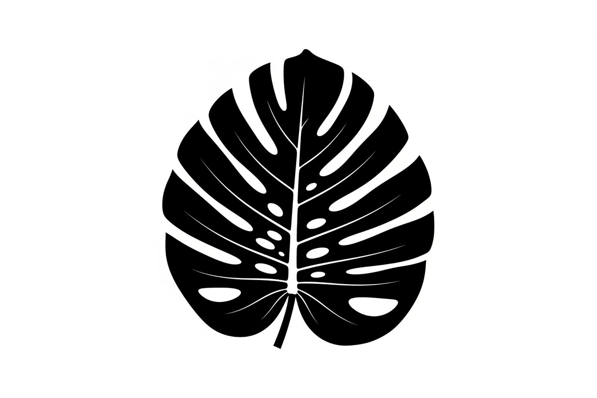 Monstera Leaf Silhouette Bundle, an Illustration by yasushie (Photo 7 of 31)