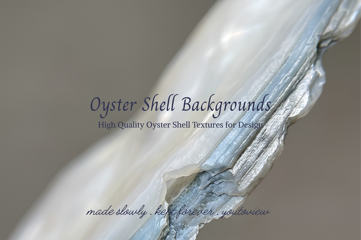 Oyster Shell Textures Backgrounds, a Background Graphic by youtoview (Photo 12 of 12)