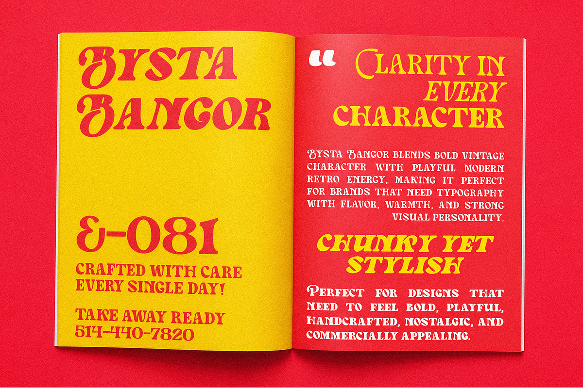 Bysta Bangor - Modern Retro Serif, a Serif Font by agnyhasyastudio (Photo 14 of 17)