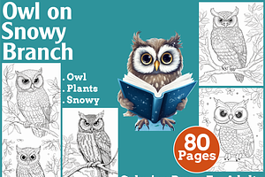 Owl on Snowy Branch Coloring Pages