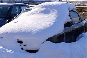 Vehicles are completely covered in, a Transportation Photo by darksoul72