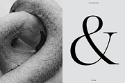 Dupioni - 6 font family, a Serif Font by Silktype (Thumbnail 8 of 21)