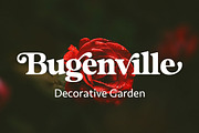 Magnilo Display, a Serif Font by Mulkan Nazir (Thumbnail 15 of 18)