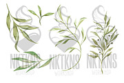 Greenery Watercolor Clipart, a Decorative Illustration by NKTKNS (Thumbnail 3 of 9)