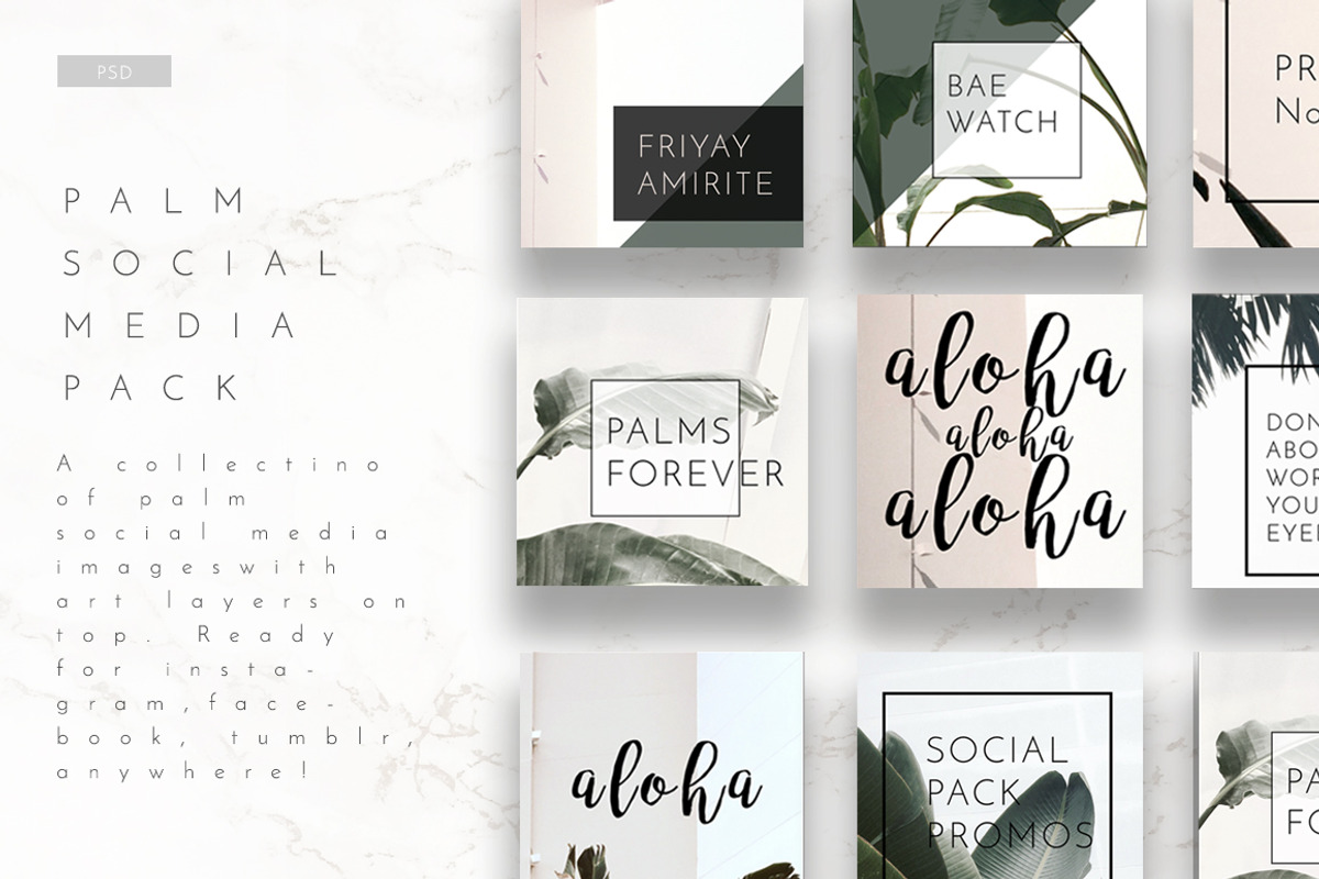 8 Pack Instagram Social Palm Layouts, a Templates & Theme by Aloha Philly (Photo 6 of 7)