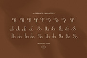 Amita Elegant Serif Font, a Serif Font by Graphicxell (Thumbnail 8 of 8)