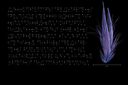 Krays — Extra Thin Accidental Font, a Serif Font by Viktor Pesotsky | Fonts (Thumbnail 15 of 18)