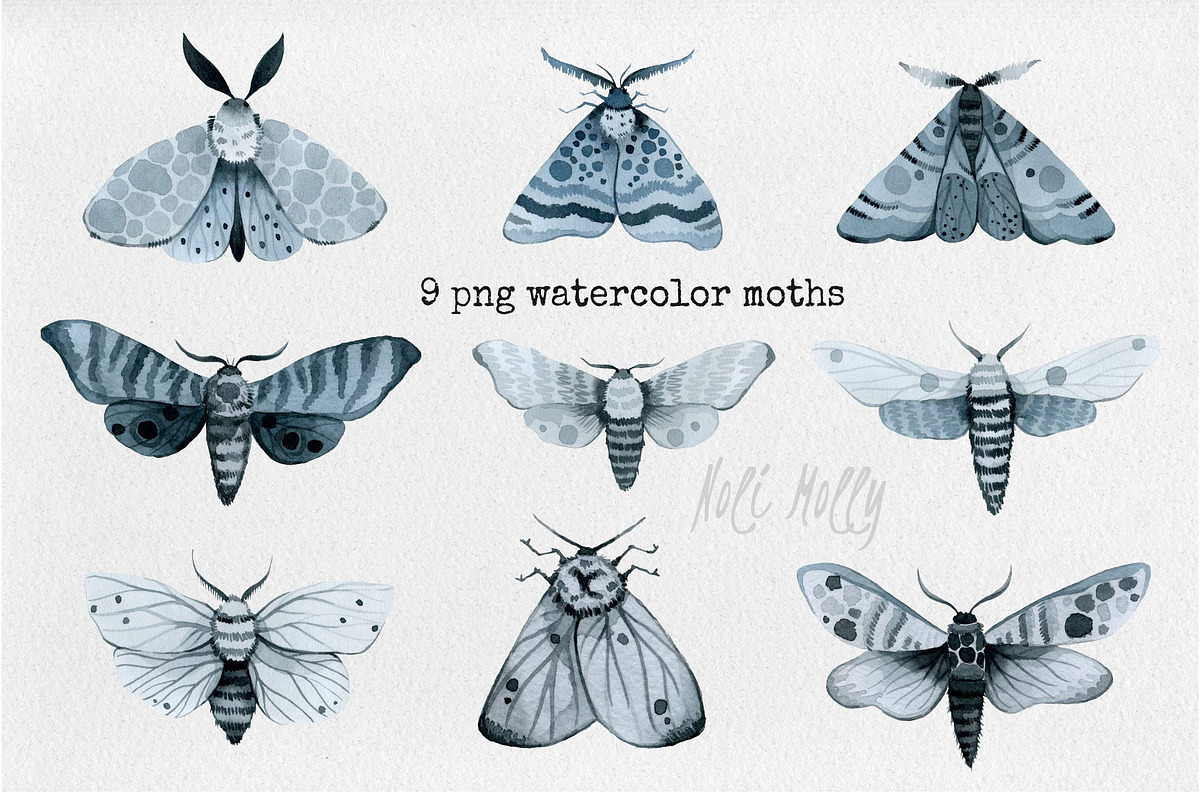 Moths. Watercolor set., an Illustration by Noli Molly Store (Photo 2 of 8)