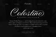 Nightshade – Elegant Calligraphy, a Script Font by Krismagraph (Thumbnail 2 of 10)