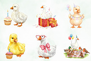 Watercolor Baby Goose Birthday Png, an Illustration by Creative Art (Thumbnail 5 of 7)