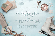 Polar Bear, a Font by Font Bundles (Thumbnail 5 of 7)