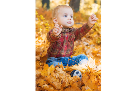 Little kid boy in the park on autumn, a Nature Photo by yanadjana