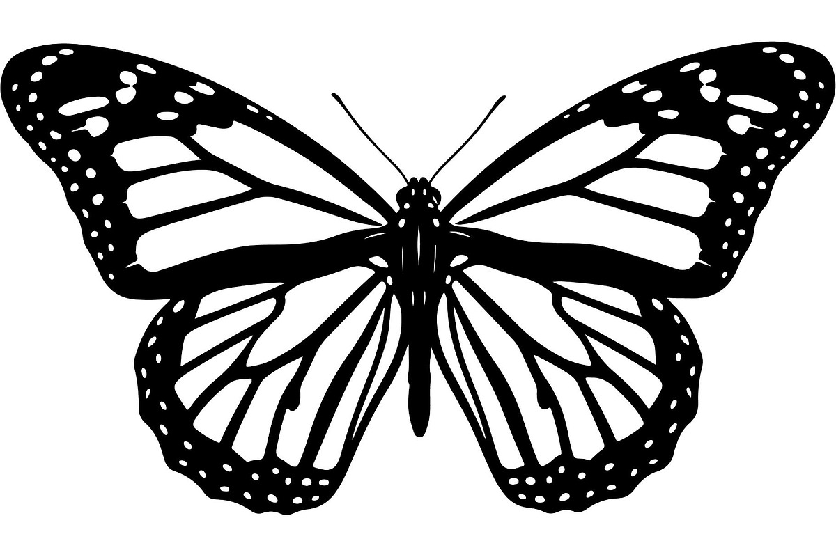 Butterfly Silhouette Bundle, an Object Graphic by Designer_Momina (Photo 15 of 20)