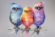 Funny Grumpy Birds Cliparts, an Animal Illustration by Mash Mash Stickers (Thumbnail 9 of 9)
