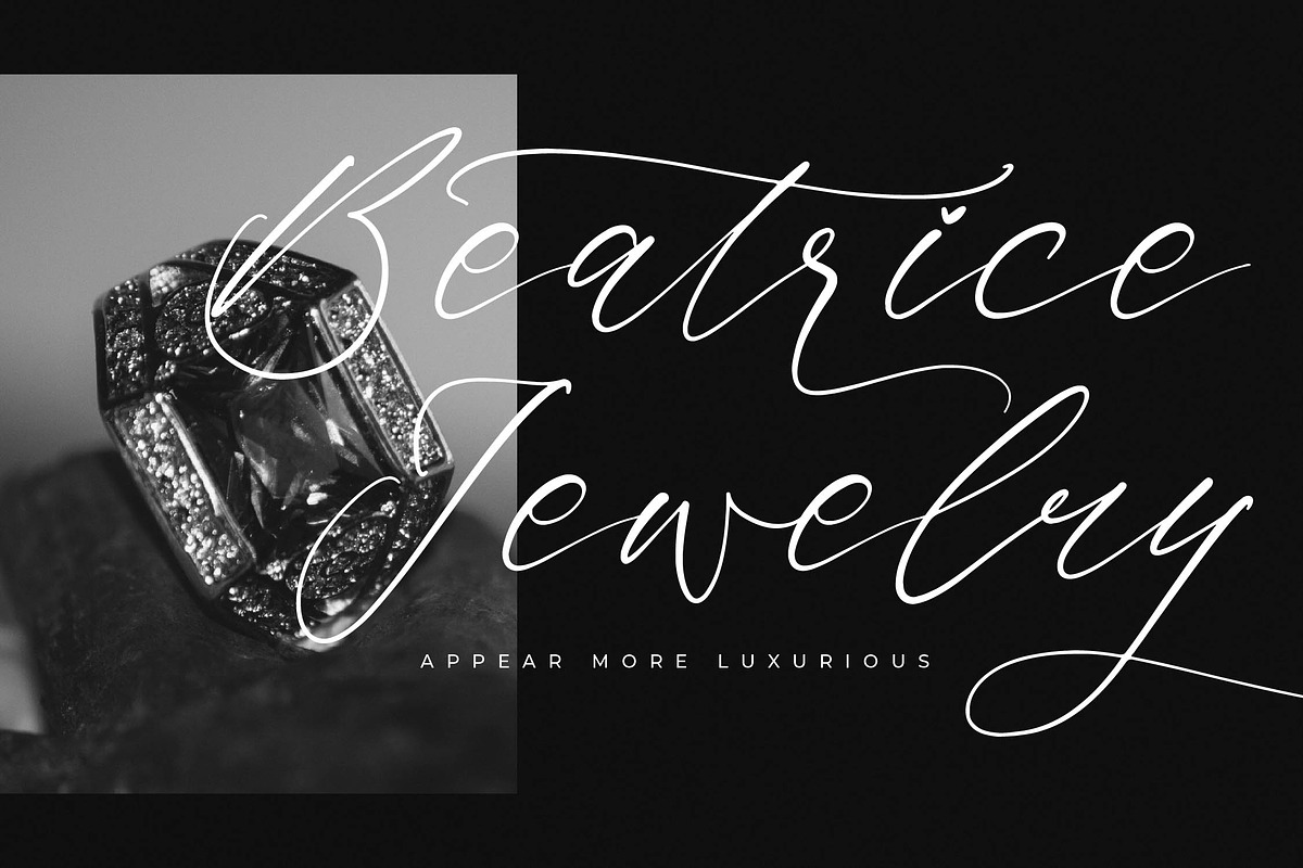 Saltngos Modern Calligraphy, a Script Font by Letterena Studios Script (Photo 10 of 15)