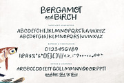 Bergamot & Birch Font Duo, a Script Font by Callie Rian & Co. (Thumbnail 12 of 14)