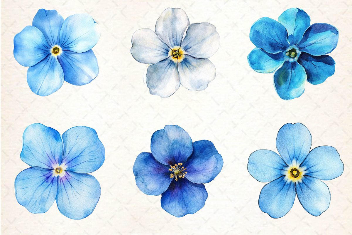 Forget Me Not Flower Bloom Clipart, an Illustration by Dream Creation (Photo 5 of 5)