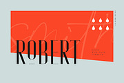 Lorise Font, a Sans Serif Font by vuuuds (Thumbnail 7 of 21)