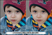 Leica Colors & Sensor Luminance, a Plug-in Add-On by Raztrend (Thumbnail 17 of 29)