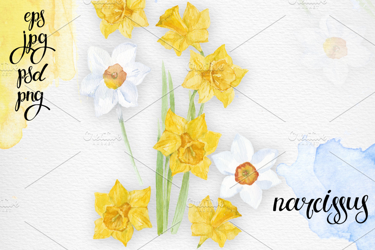 Spring flowers. Watercolor set., an Illustration by maritime_m (Photo 5 of 7)