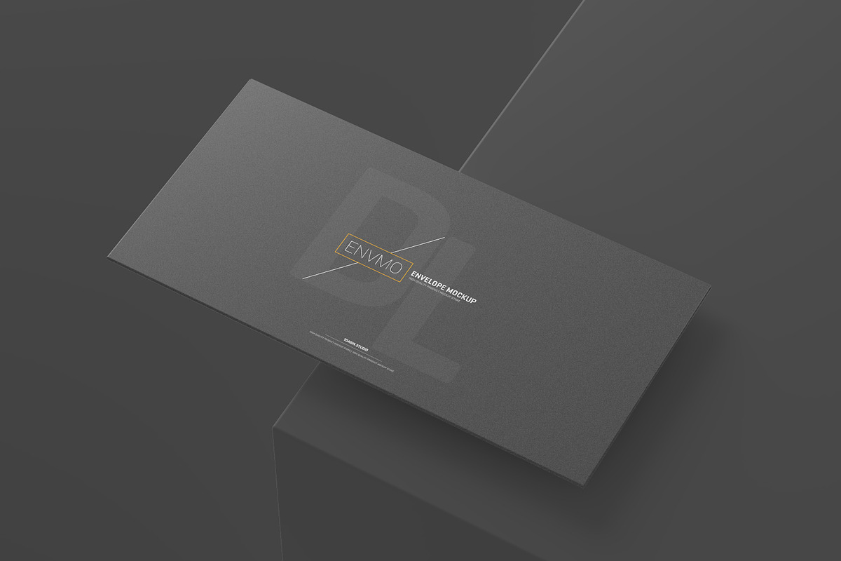 DL Envelope Mockup, a Mockup by Toasin Studio (Photo 6 of 12)