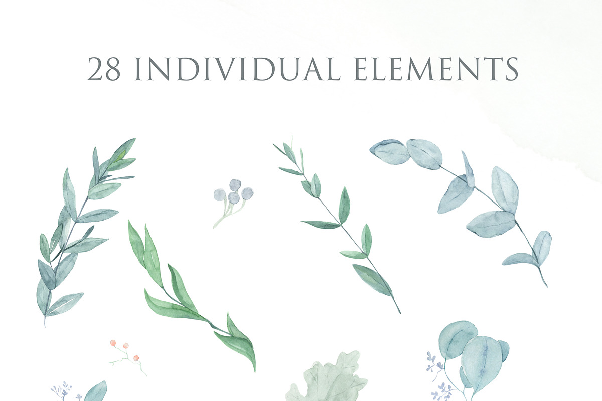 Watercolor Greenery and Leaves -30%, an Object Graphic by AnaPierceArt (Photo 3 of 5)