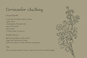 Herbs & Spices Vector Bundle, a Food Illustration by Little Gremlin (Thumbnail 9 of 10)