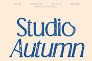CS Giova Stamp, a Serif Font by Craft Supply Co. (Thumbnail 2 of 8)