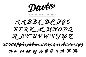 Daelo Script Typeface