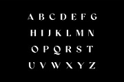 QUERY Display Bold Serif Font, a Serif Font by WhymoreArt (Thumbnail 6 of 7)