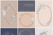 Botanical Graphic Collection, an Illustration by Twigs and Twine (Thumbnail 6 of 10)